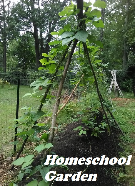 Hugel Culture with text