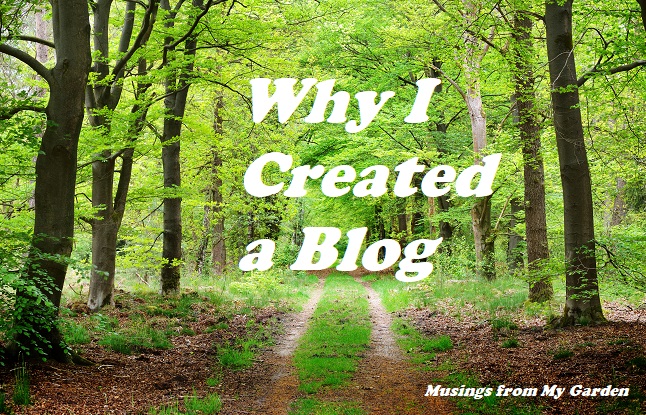 Spring forest in the Netherlands