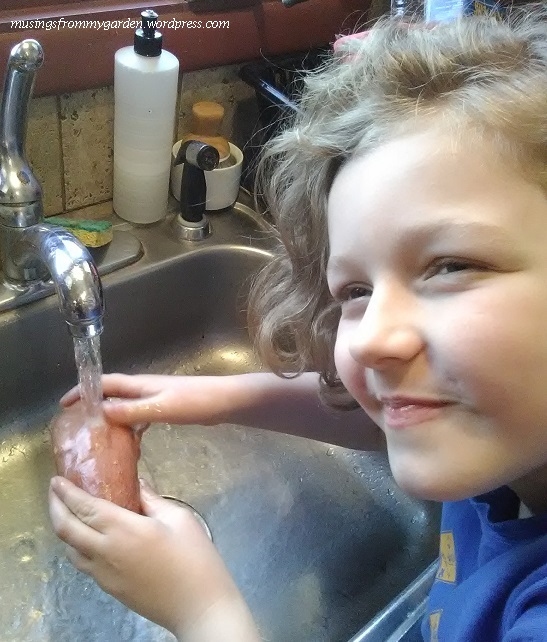 washing sweet potato