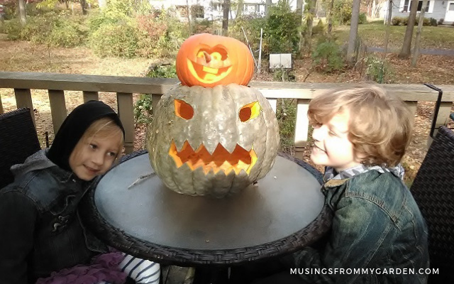 kids with jarrahdale pumpkin